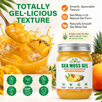 SOLOTREE Gel de mousse de mer sauvage de 16 oz sans gluten, saveur mangue-ananas, en pot, pour le soutien intestinal et immunitaire