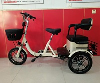 Elektrisches Dreirad 2 Passagiere elektrisches Dreirad für Frauen E-Dreirad E Dreirad