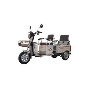 Nouveau et populaire <span class=keywords><strong>tricycle</strong></span> électrique de loisirs urbains Véhicule touristique urbain multifonctionnel utilisé pour le transport de marchandises par des adultes - Product Image 4