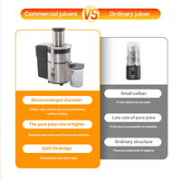 Extracteur de jus commercial à succès – Séparation automatique pulpe-jus et extraction de jus pur en acier inoxydable haute performance