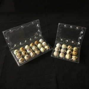 China factory directly offer plastic quail egg tray