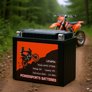 PowerSports <b>Battery</b> <b>12V</b> 8Ah LiFePO4 YTX12-BS Motorcycle Replacement <b>Battery</b> for Offroad Use - Product Image 2