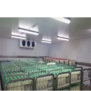 Factory new design cold/chiller storage room for fruit and vegetable