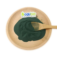 Poudre de Nannochloropsis Naturelle Premium et Comprimés de Nannochloropsis 300mg Disponibles en Vrac