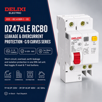 DELIXI Double Pole 40A D Curve AC Type RCBO 2P 230V 6kA 30mA Earth Leakage PA66/Tembaga 10000 Siklus 35mm DIN Rail Mount
