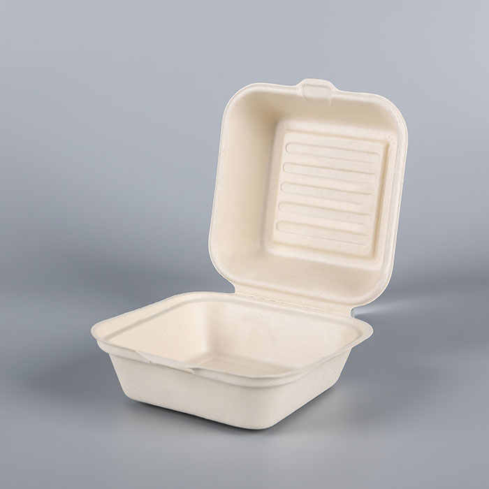 Eco Friendly Bagasse Sugarcane Disposable Compostable Biodegradable ...
