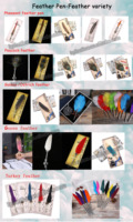 HS grosir pena bulu DIY ramah lingkungan set pulpen bulu angsa pulpen bulu dan set tinta untuk hadiah & Kerajinan