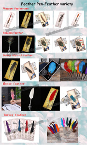 HS Thân Thiện Với Môi Tự Làm Bán Buôn Lông Bút Thiết Lập Ngỗng Đài Phun Nước Lông Bút Bi Bút Lông Và Mực Thiết Lập Cho Quà Tặng & Thủ Công Mỹ Nghệ - Product Image 2