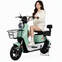 Vélo Électrique 48V à Vendre Directement de l'Usine Chinoise, Moteur Brushless 350W, Cadre en Acier Carbone, Système en Boucle Fermée, Autonomie de 60km pour Adultes