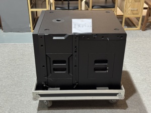 Caisse de basses passive double 18 pouces 650W Big Power XZ-210CSUB en néodyme avec coque en bois pour audio vidéo professionnel - Product Image 3