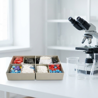 Kit de Modelos Moleculares de Bioquímica, 262 Piezas de Atómicos, Estructura de Moléculas Químicas para la Enseñanza Escolar