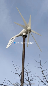 Generador Eólico de Eje Horizontal Silencioso de 1kw 12v 24v para Uso Doméstico, Energía Gratuita, Aerogenerador Portátil para Casa y Granja RY-S Pequeño W - Product Image 6