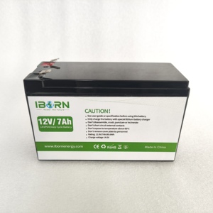 12V 7Ah câu cá Finder Lithium Ion Battery Pack hiệu suất cao LiFePO4 - Product Image 3