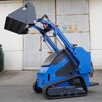 Chinesische Mini-Lader, Teleskop-Lader, Knickgelenk-Radlader, Kleiner 400kg Lader, Kompaktlader