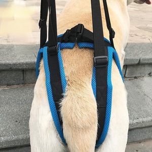 Harnais de soutien pour pattes arrière de chien, avec bouton solide, sangle de levage réglable, poignée, en polyester bleu, aide à la mobilité pour chiens âgés, handicapés, de grande taille - Product Image 3