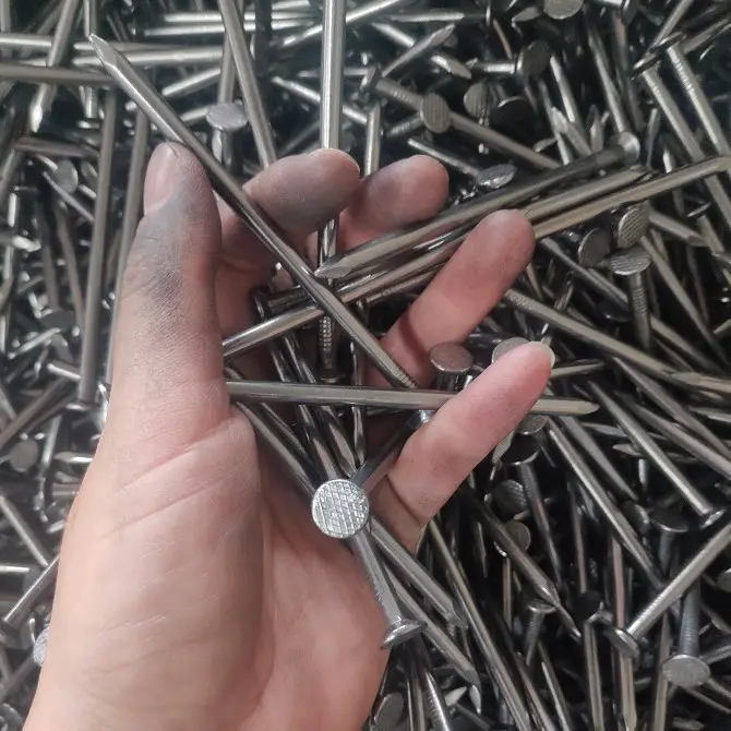 Factory Common Wire Nails With Lowest Price
