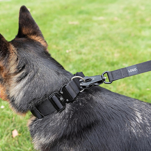 Kunden spezifische <span class=keywords><strong>Deluxe</strong></span> Tactical Hunde leine 5ft Heavy Metal Schnell verschluss Schnalle Aviation Aluminium Clip Outdoor Hunde training Leine - Product Image 5