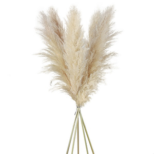 Erba della Pampa Grande all'Ingrosso 120 cm, Piume Soffici Secche, Fiori Naturali per Decorazioni Matrimoniali - Product Image 1