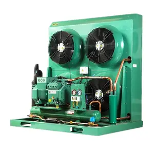 Power-Saving Condensing Unit Cold Room Refrigeration For Manufacturing Plant And Retail For Efficient Cold Storage