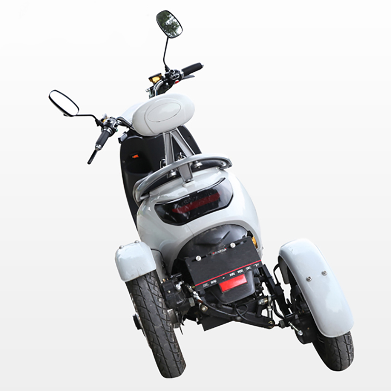 Three Wheel Scooter 50cc Handicapped Adult Options
