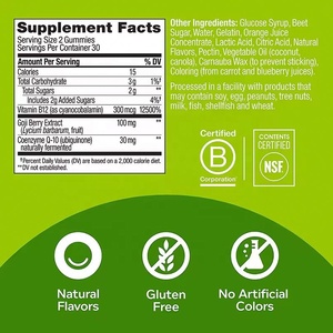 Gomitas Multivitamínicas de Alta Energía con Vitamina C, Vitamina D y Base de Alimentos Integrales y Hierbas, Apoyo para la Función Inmunológica - Product Image 3