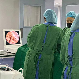 Sistema de Câmera Endoscópica Portátil de 17 Polegadas para Inspeção em Laparoscopia - Product Image 2