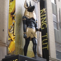 Altes Ägypten lebensgroße Bronze Anubis Statue Kupfer für die Heim dekoration