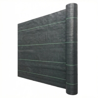 Toile anti-herbe agricole en PP, tapis anti-mauvaises herbes, utilisation domestique, couverture anti-herbe, tapis anti-mauvaises herbes, paillis
