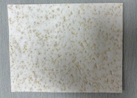 Tablettes de lessive écologiques OEM à marque privée, feuilles de lessive biodégradables avec enzymes solides