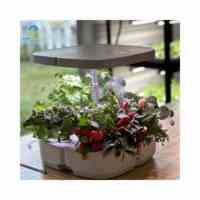 Mini système hydroponique intérieur intelligent jardinière de jardin hauteur réglable système de culture hydroponique minuterie de lumière LED pour légumes