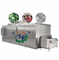 Nouvelle Machine de Congélation Rapide Industrielle Automatique Zhuoyu OCEAN pour Frites, Congélateur Tunnel à Bande IQF à Azote Liquide