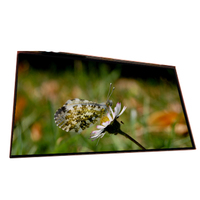 Pantalla LCD LTM270HL05 Original Nueva de 27.0 Pulgadas
