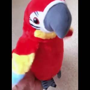 तोते को अपने पंखों की गूंज बोलना और फ़्लप करना सीखता है और बिजली के प्लग खिलौना तोता बच्चों के खिलौने की नकल करता है - Product Image 5