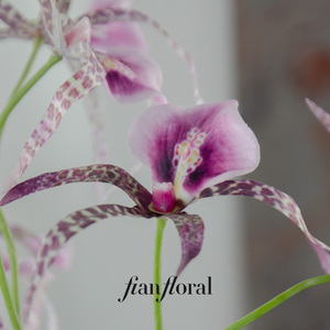 فونغ يان العنكبوت السحلية لمسة كرمة الأوركيد مع أوراق اصطناعية السيمبيديوم شنقا الزهور فالاينوبسيس - Product Image 4