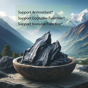 Cápsulas de Shilajit con Ácido Fúlvico, Venta Caliente OEM/ODM, Extracto de Shilajit Auténtico, Apoya la Función Cognitiva, Inmunológica y Antioxidante - Product Image 3