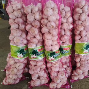 Ail frais chinois 2,5 KG, emballage en sac fileté, taille 5cm 5,5cm, prix abordable, ail frais blanc pur, exportation vers Dubaï - Product Image 2