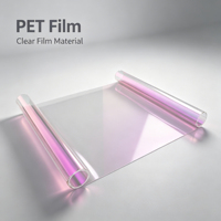 Film de protection solaire pour vitres en PETG teinté, isolant thermique, anti-UV, résistant à l'huile, de qualité alimentaire, anti-âge, pour emballage et découpe