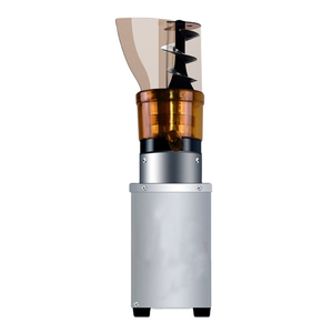 <b>Small</b> Commercial Apples Oranges Pears Ginger Banana Fruit <b>Juicer</b> Extractor Machine - Product Image 5