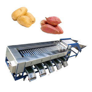 Ligne de tri et de calibrage automatique haute performance pour kiwis, pommes de terre, courgettes, tomates, concombres et oignons, en acier inoxydable 304 - Product Image 4