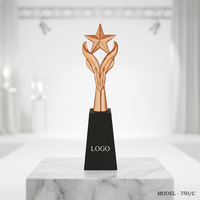 Trophée sportif Premium Star avec impression UV et motif floral, récompense portable gravée au laser pour les tournois et les championnats