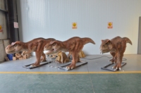 Modèle de T-Rex animatronique réaliste en métal, personnalisé par Zigong OEM, pour utilisation en intérieur/extérieur dans les parcs d'attractions, les centres commerciaux et les expositions de location