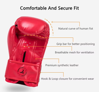 Gants de boxe Muay Thai professionnels pour adultes, gants d'entraînement de combat MMA Sanda, gants de frappe pour sacs de frappe, directement de l'usine en Chine