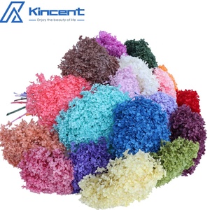 Bán Buôn Chất Lượng Cao Hấp Thụ Màu Sắc Vĩnh Cửu Anna Tú Cầu Trang Trí Nội Thất Phụ Kiện Trang Trí Đám Cưới Bảo Quản Tú Cầu - Product Image 2