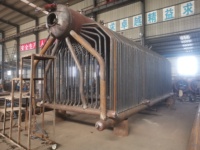 Chaudière à vapeur industrielle à biomasse série DZH 1000 kg/h pour le traitement du bois de chauffage et des billes de bois