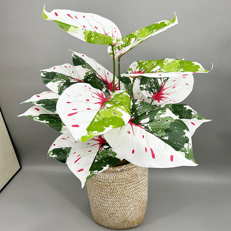 18 heads taro leaf(without pot)