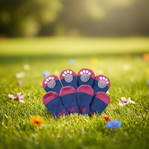 DB Pet <b>Socks</b> Small Rubberized Soles Cotton Summer Dogs Western Style <b>Cute</b> Solid Pattern - Product Image 2