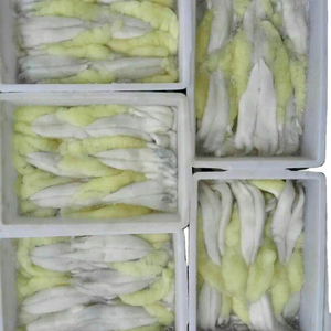 Mejor Servicio, Calamar Illex Argentino Congelado, Huevas de Calamar Illex, Bloque de Materia Prima Entera en Stock - Product Image 4
