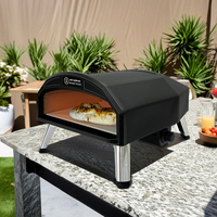 Four à pizza portable au gaz de 16 pouces en acier inoxydable pour la cuisson en extérieur