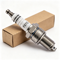 Bougie d'allumage de moto de haute qualité compatible F5TC pour Suzuki TS100 TS125 TS185 TS200 TS250 TS400 Yamaha XT125 DT125 DT175