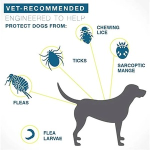 Collier apaisant réglable en silicone durable pour animaux de compagnie, à libération rapide pour l'entraînement, formule naturelle <span class=keywords><strong>anti</strong></span>-puces, tiques et moustiques, réduit leur impact - Product Image 4